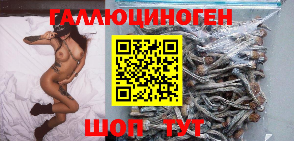 Псилоцибиновые грибы MAGIC MUSHROOMS  Вход с VPN  Псилоцибиновые грибы GOLDEN TEACHER  Коломна 